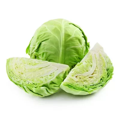 বাঁধাকপি (Cabbage)