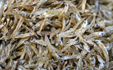 কাচকি মাছের শুটকি (Dry Kachki Fish)