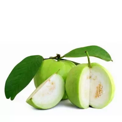 পেয়ারা (Guava)