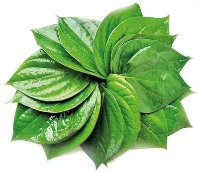 পান (Betel Leaf)