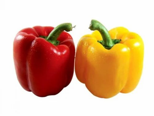 ক্যাপসিকাম (লাল ও হলুদ) -  (Red & Yellow Capsicum)